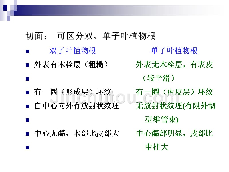 药用植物学与生药学第十章根类生药1课件_第4页