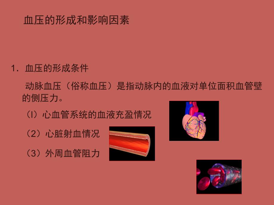 高血压的发病机制课件_第3页