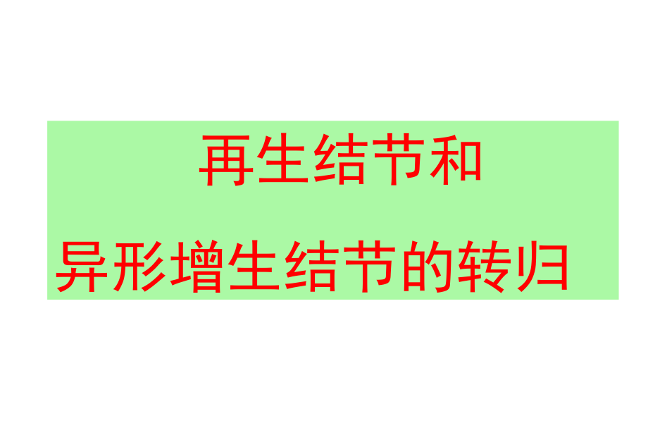 张磊肝硬化(非常详细的肝内小结节分析)_第4页