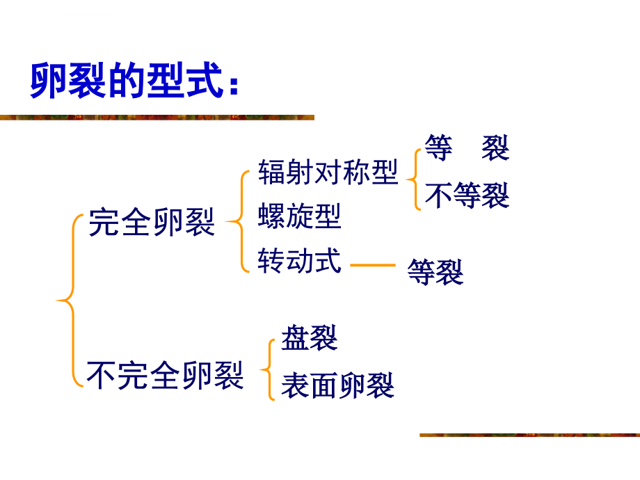 西南大学生物技术学院动物学课件_第4页