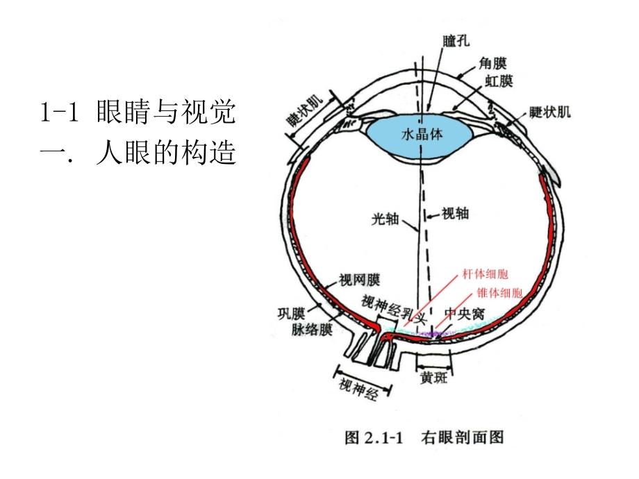 建筑物理-光_第4页