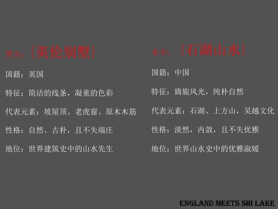 岸上英伦广告提案_第5页