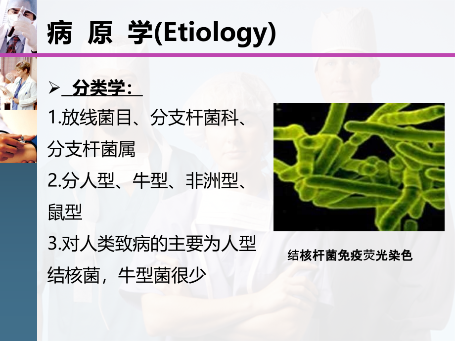 杨睿肺结核诊断与治疗_1_第4页