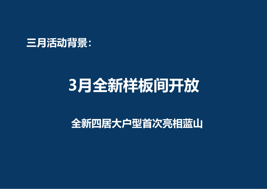 地产全年活动提案_第3页