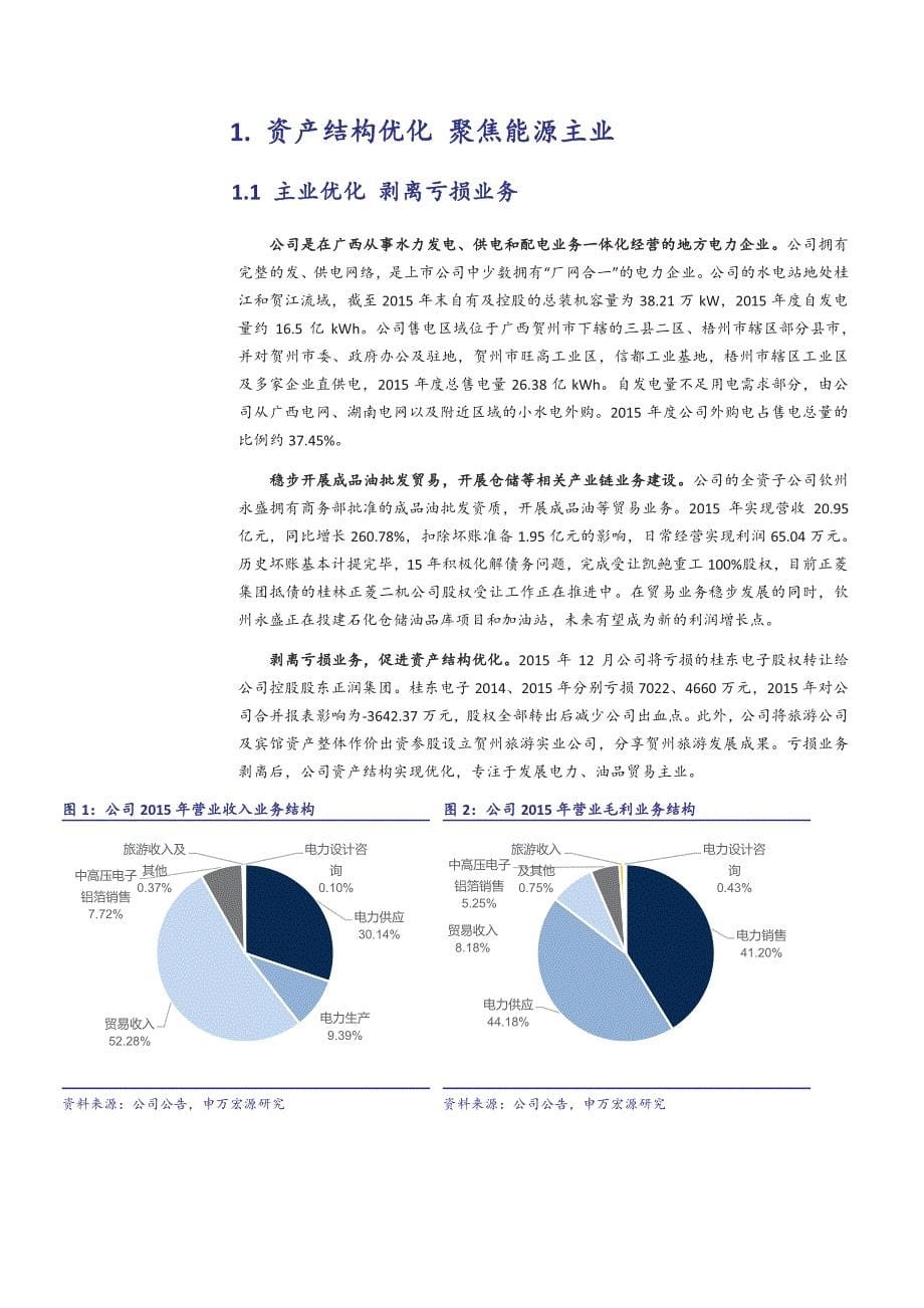 桂东电力公司深度分析报告：战略蓝图布局逐步清晰，迎来利润增长拐点_第5页