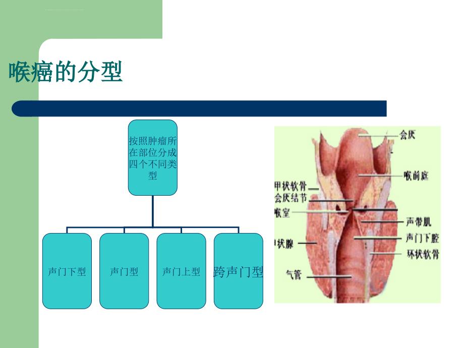 喉癌术后并发症ppt课件_第4页