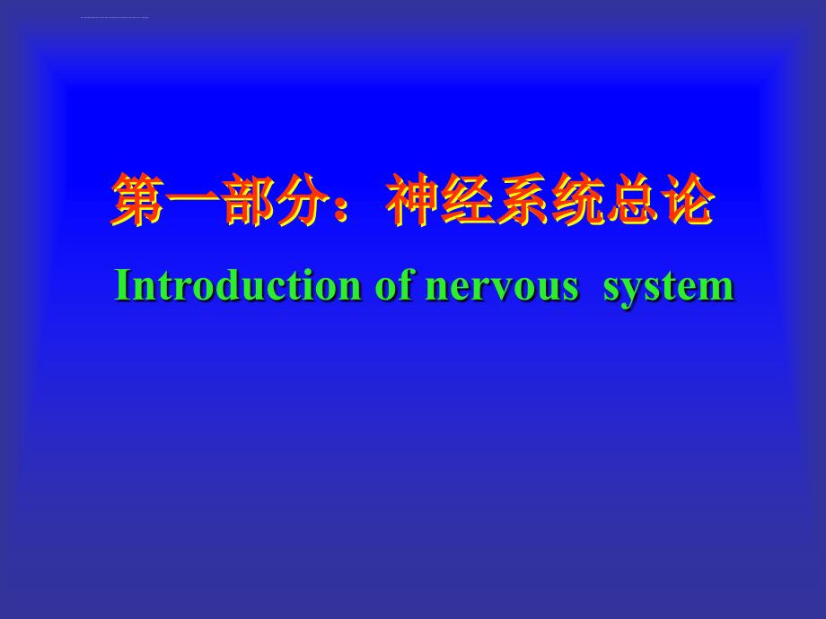 2012神经系统总论脊神经总论_第2页