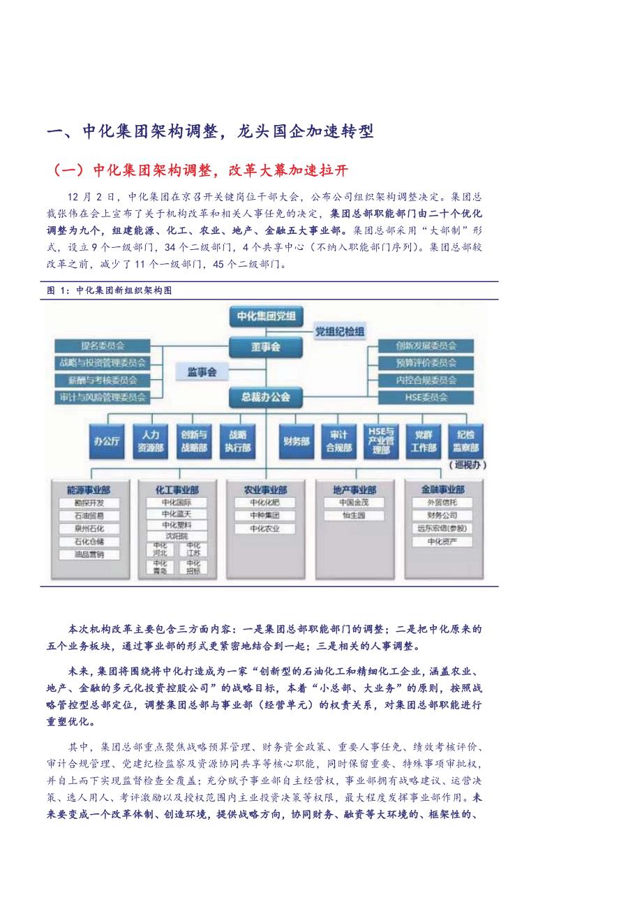 中化集团2017年展望_第4页