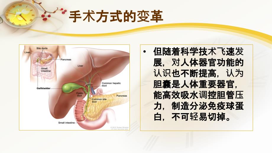 胆囊结石及胆管结石的微创治疗课件课件_第4页