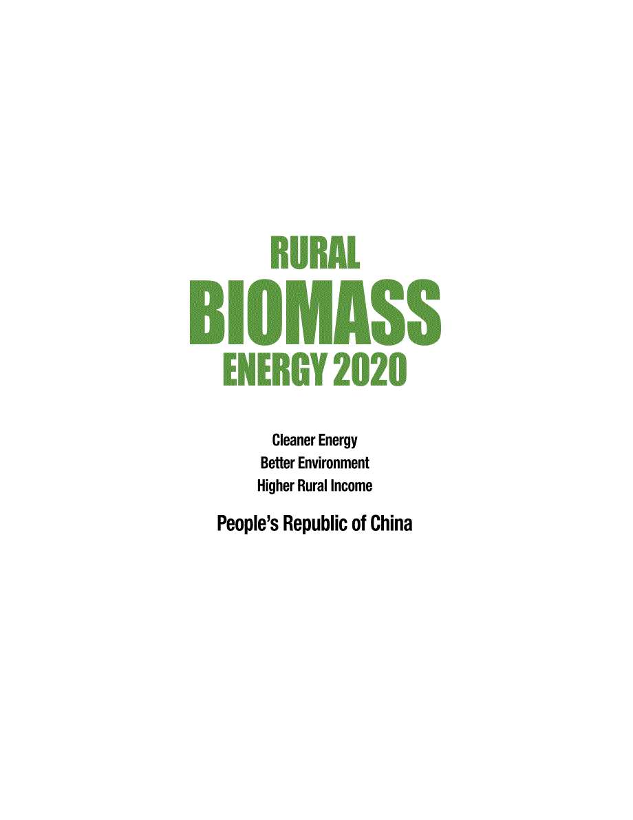 农村生物质能源规划报告2020_第2页