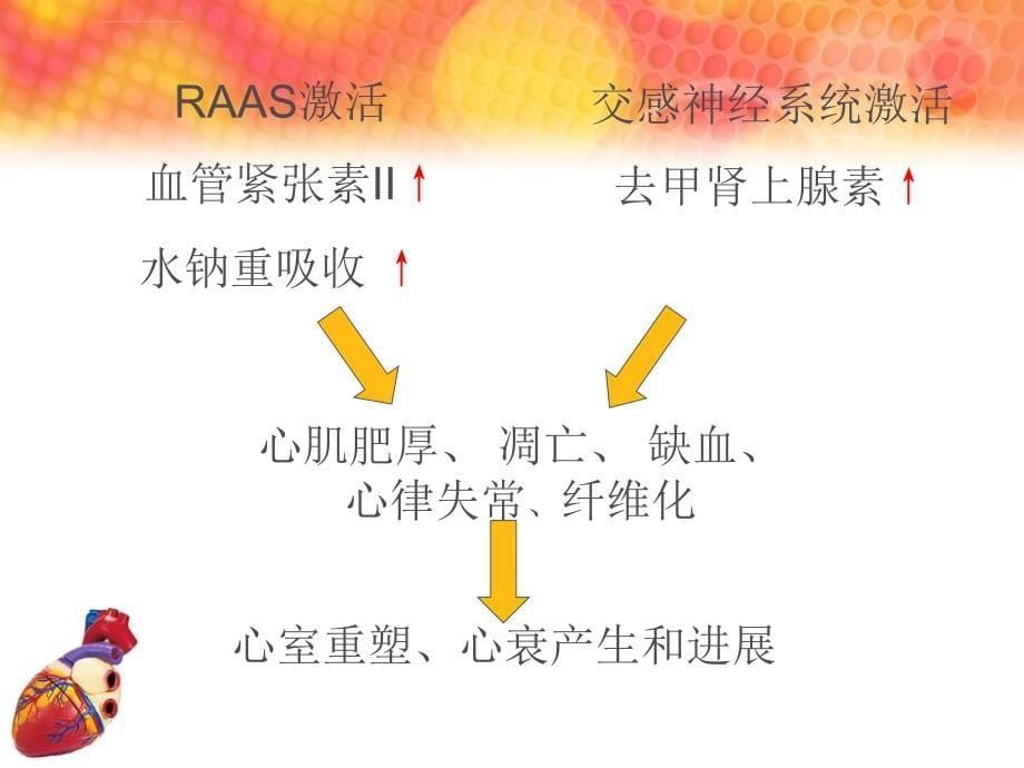 心内科常见药品知识2课件_第5页