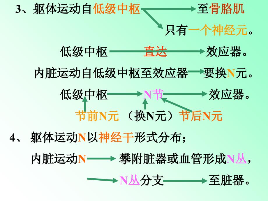 解剖学_内脏神经课件_第4页