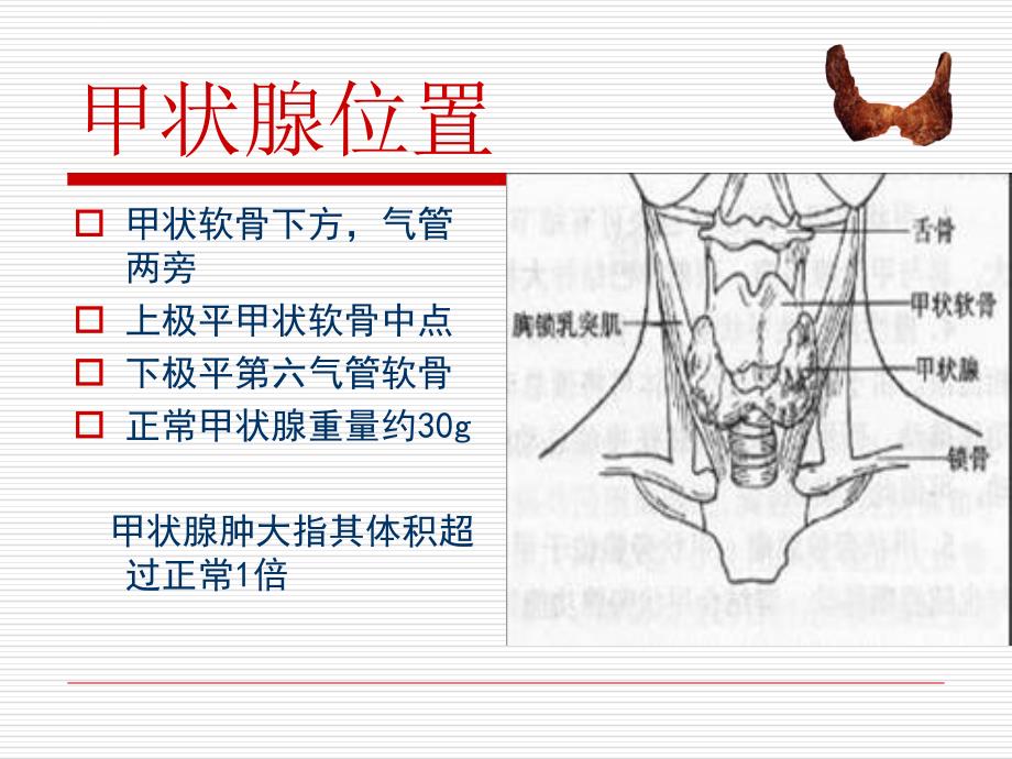 甲状腺肿瘤的相关护理课件_第4页