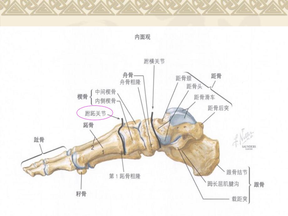 跗跖关节扭挫伤跖管综合征_第3页