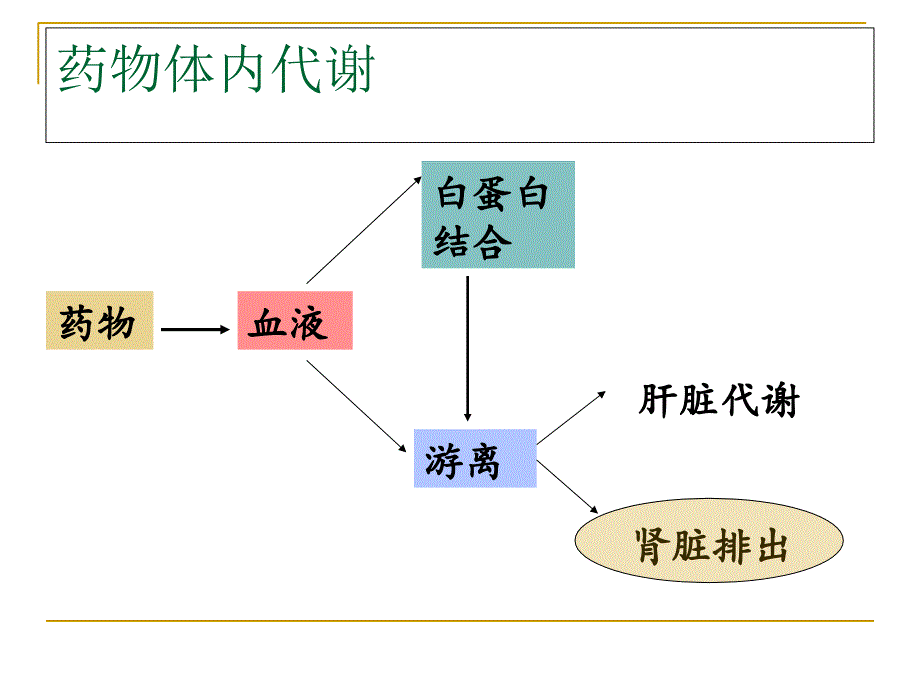 肾功能不全抗生素选择课件_第2页