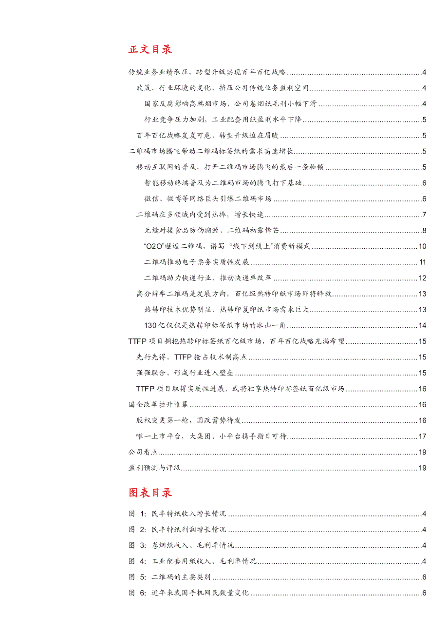 民丰特纸600235公司深度分析：TTFP市场空间巨大，国改蓄势待发_第2页