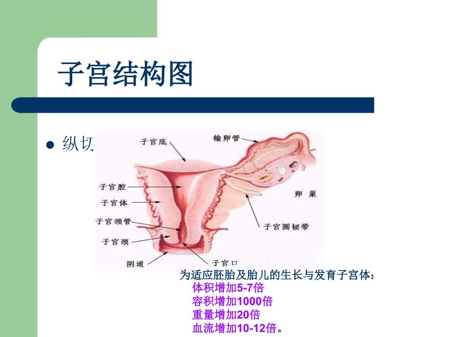 与女性朋友谈宫颈疾病的防治_第3页