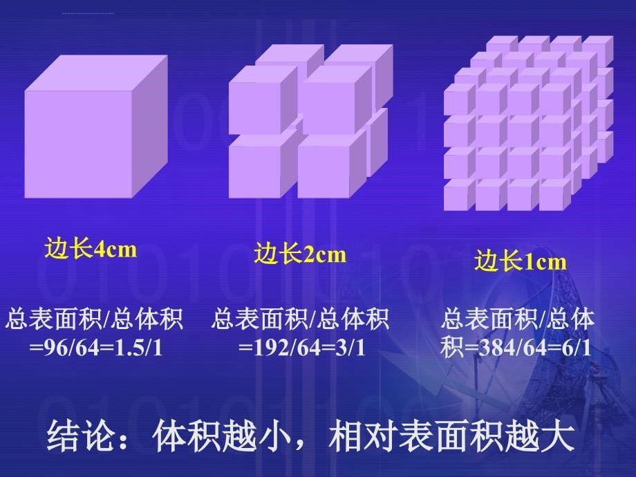 微生物的代谢_第5页