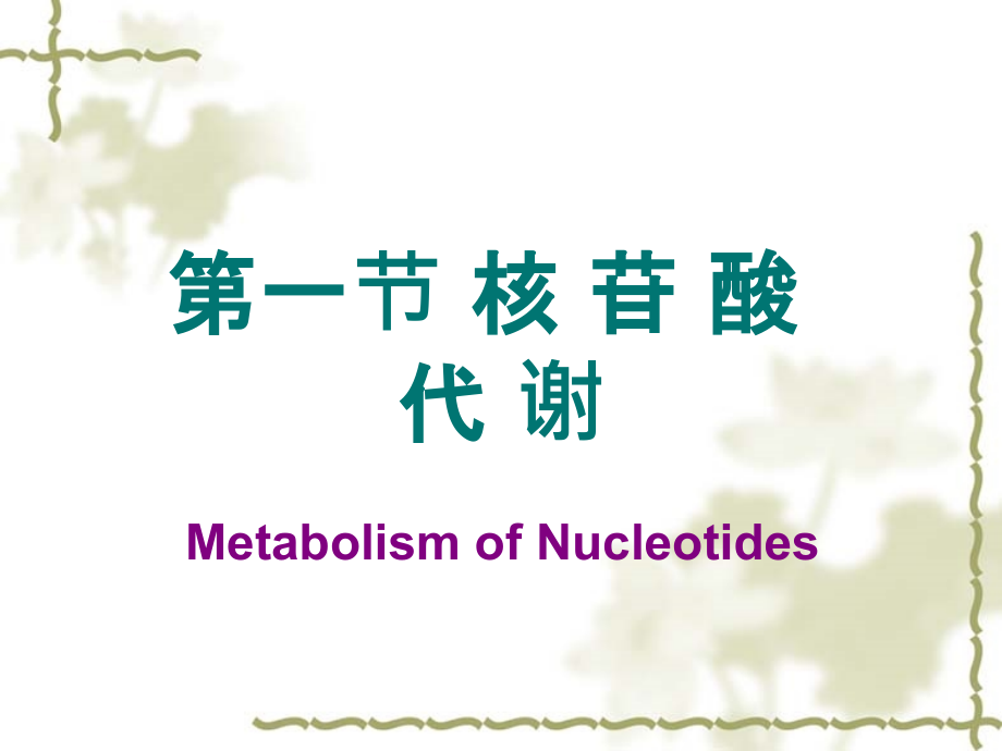 核酸代谢和蛋白质的生物合成课件_第2页