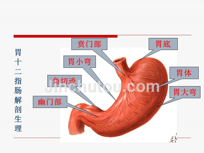 外科说课胃十二指肠溃疡外科护理课件_第2页