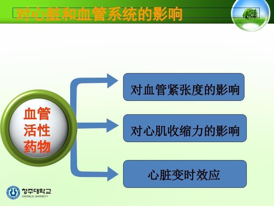 血管活性药物的应用及配制ppt课件_第5页