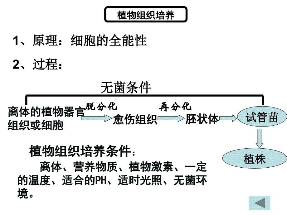 现代生物科技专题复习_第5页