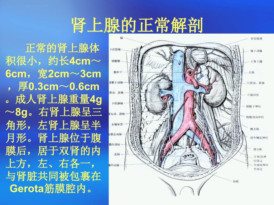 腹腔镜下嗜铬细胞瘤切除的护理查房_第3页