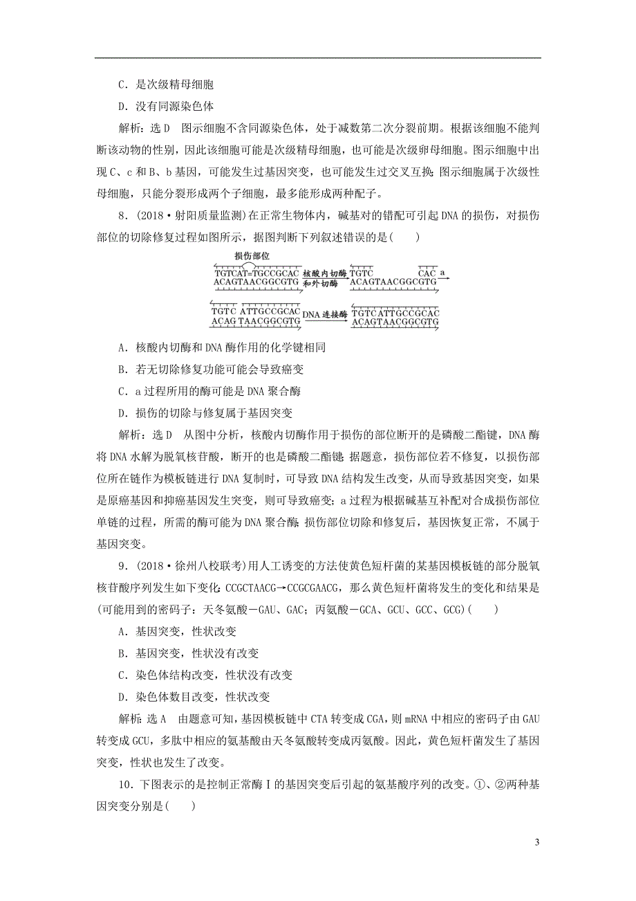 江苏专版2019版高考生物一轮复习第二部分遗传与进化第三单元生物变异育种和进化课时跟踪检测二十四基因突变和基因重组_第3页