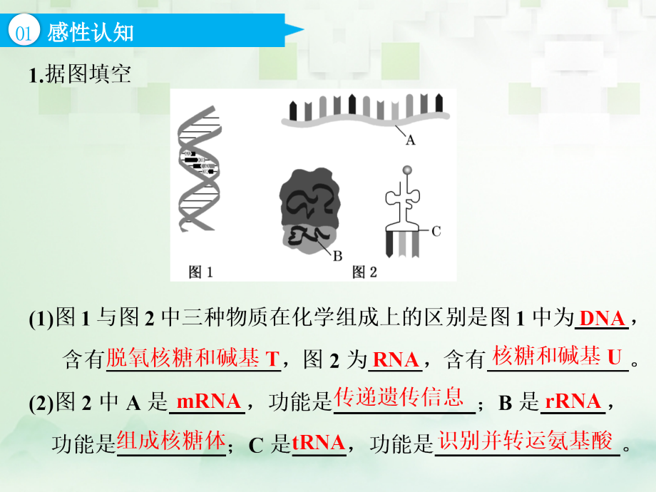 江苏专版2019版高考生物一轮复习第二部分遗传与进化第二单元基因的本质与表达第三讲基因的表达课件_第4页