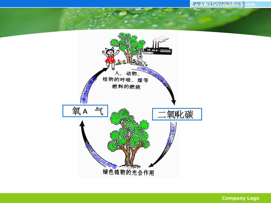 二氧化碳制取讲课课件_第2页