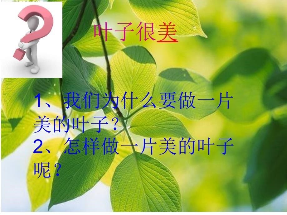 做一片美的叶子2_第5页