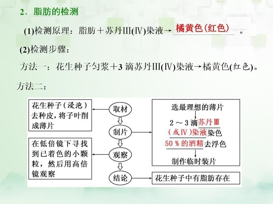 江苏专版2019版高考生物一轮复习第一部分分子与细胞第一单元细胞及其分子组成第三讲检测生物组织中的糖类脂肪和蛋白质(实验课)课件_第5页