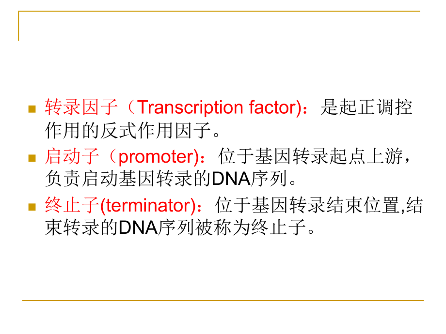 现代遗传学11[1].基因表达与调控_第4页