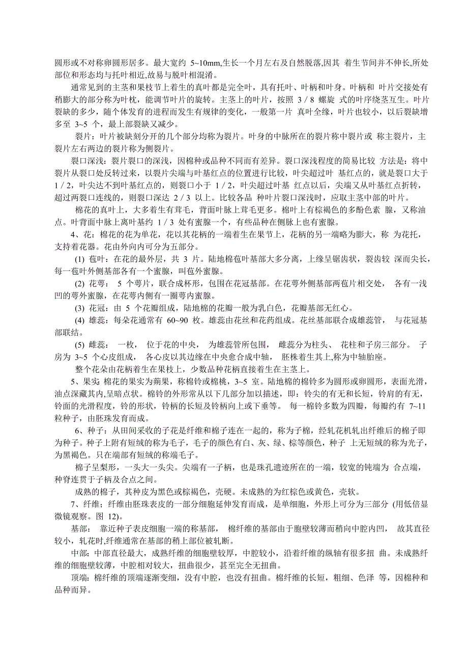 棉花的主要植物学形态特征观察及四个栽培棉种的识别1_第2页