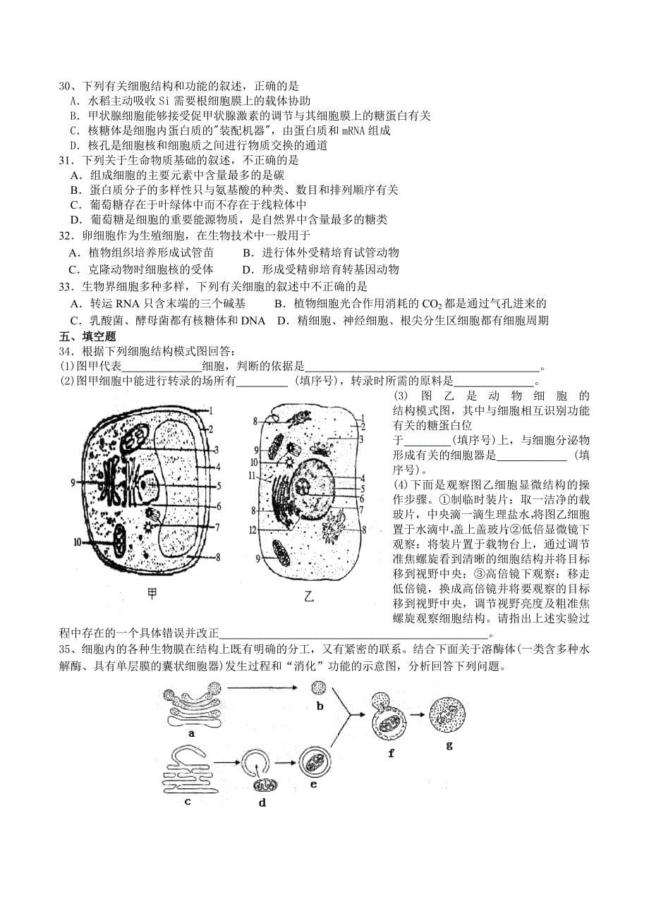 高二生物教学案专题二细胞的结构_第5页