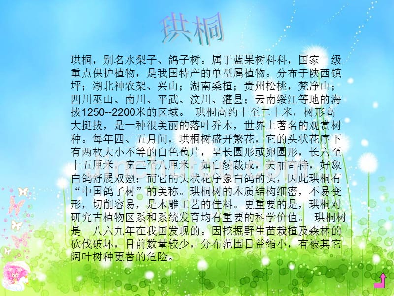 镇江路小学四（2）童莹_第5页