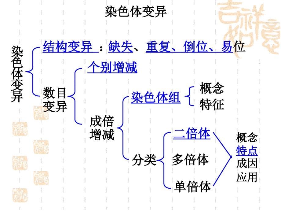 染色体变异课件_第5页