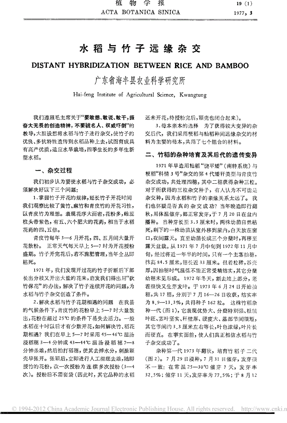 水稻与竹子远缘杂交_第1页