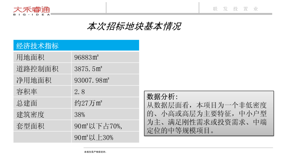 武汉南湖某项目策划全案(大禾睿通)20101029_第4页