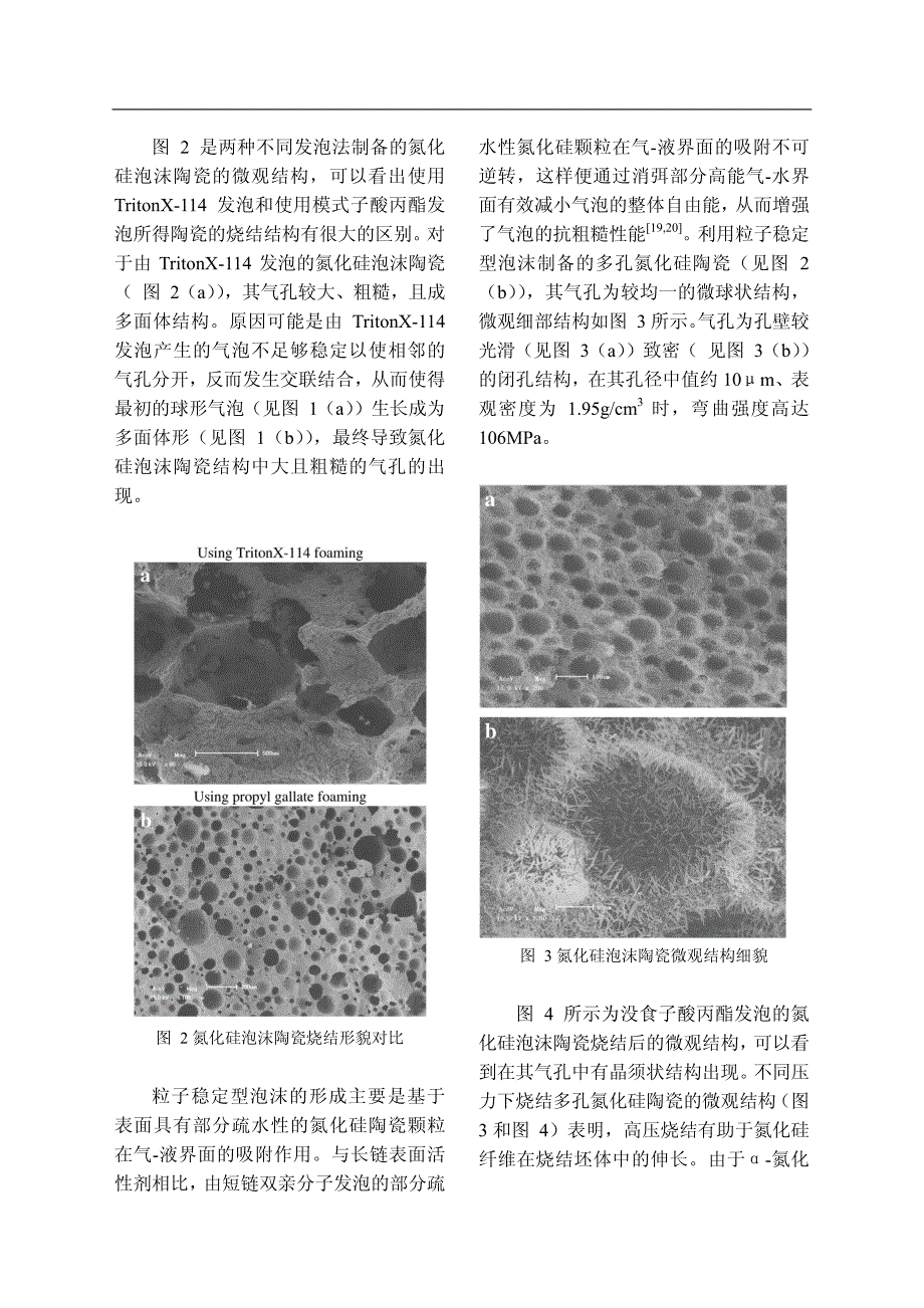 粒子稳定型氮化硅泡沫陶瓷的研究_第3页