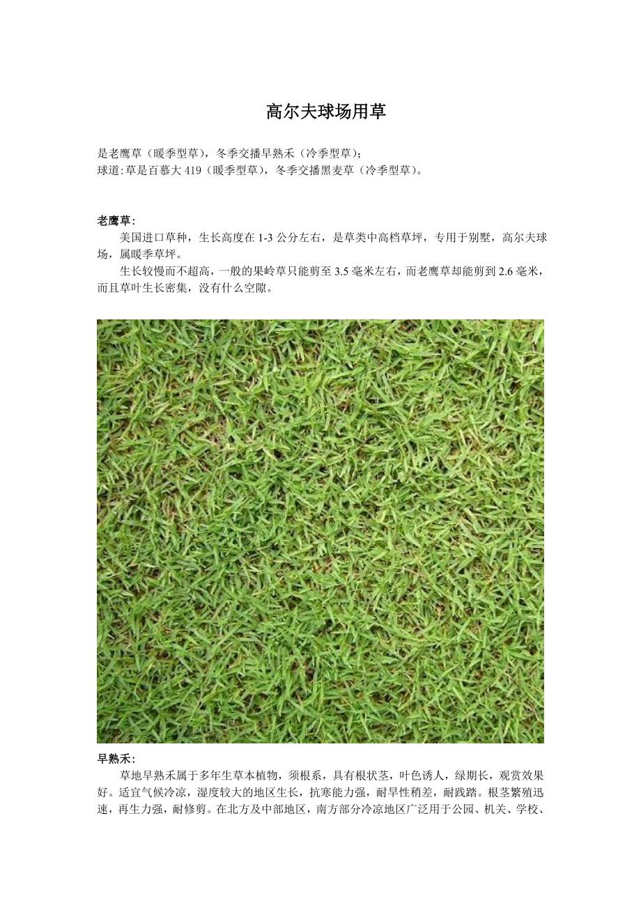 高尔夫球场用草_第1页