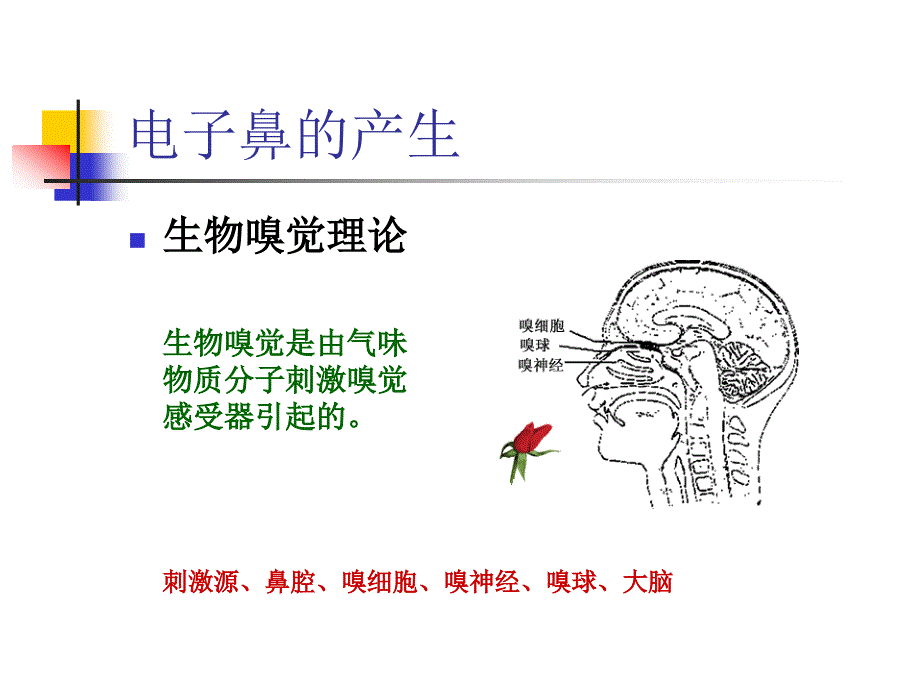 电子鼻技术及其在食品领域的应用_第3页