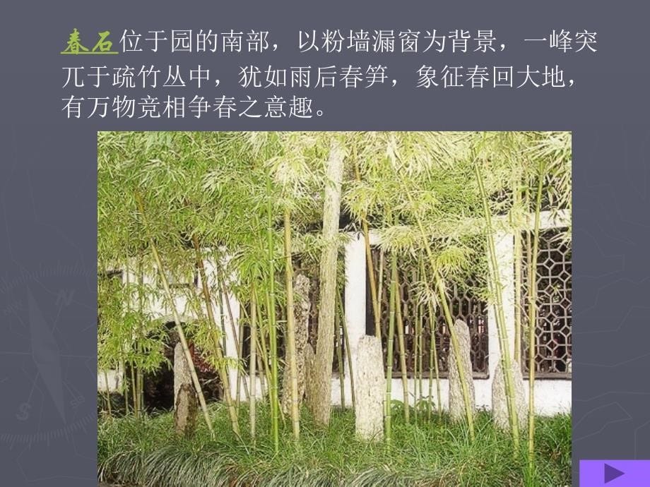 中国古典园林石鉴赏_第5页