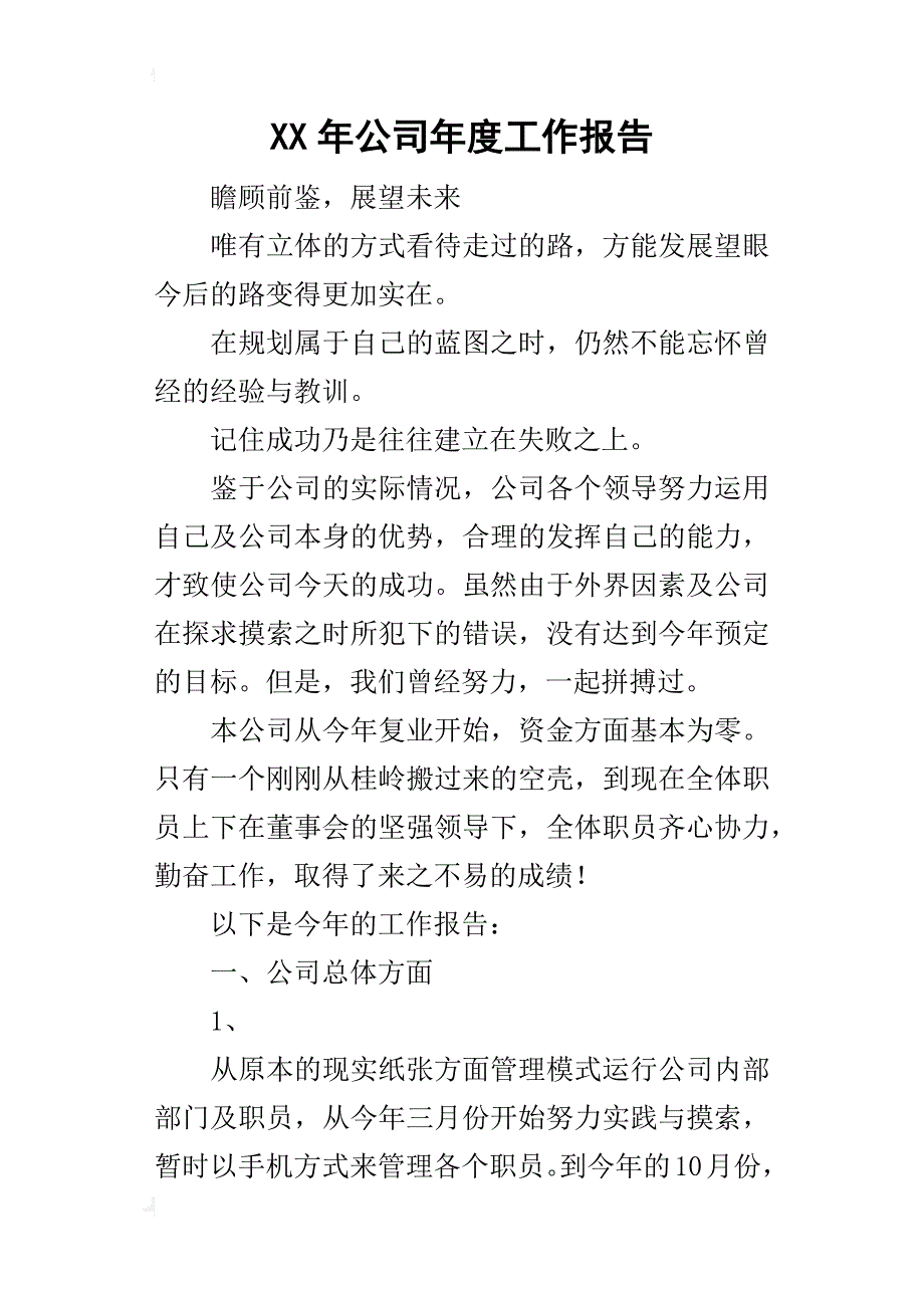 某年公司年度工作报告_第1页