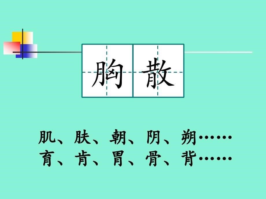 2018新人教版部编本三年级上册5-第26课《灰雀》课件_第5页