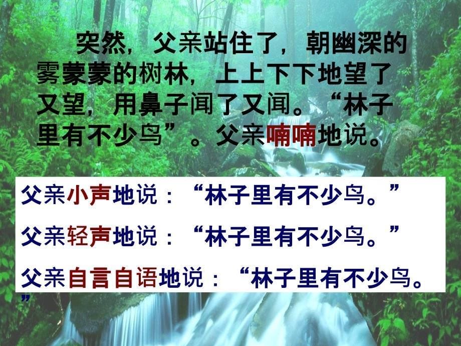 2018新人教版部编本三年级上册第22课《父亲树林和鸟》课件4课件_第5页