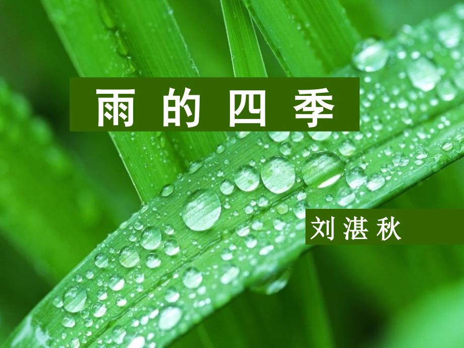人教初中语文七上雨的四季刘湛秋课件_第2页
