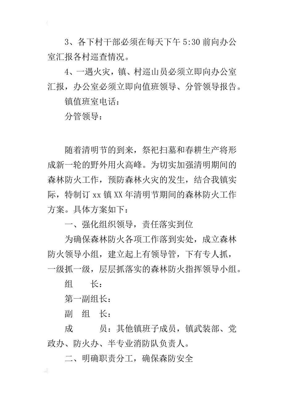 某年清明节期间森林防火工作方案_1_第4页