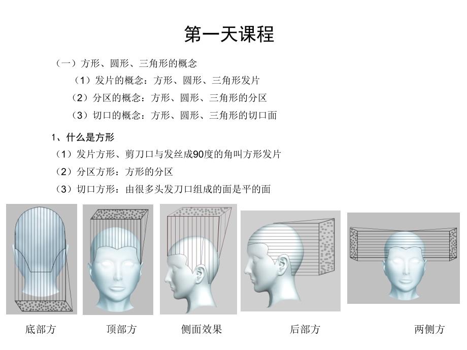 发型师训练裁剪教材_第1页
