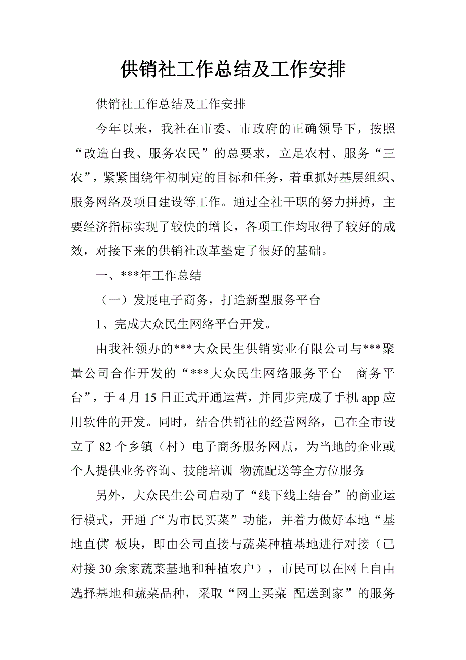 供销社工作总结及工作安排.doc_第1页